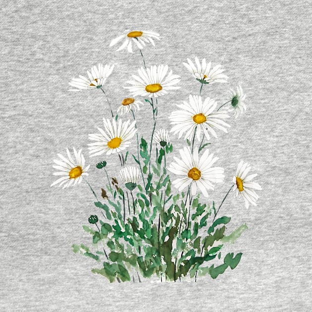 white Margaret daisy watercolor by colorandcolor